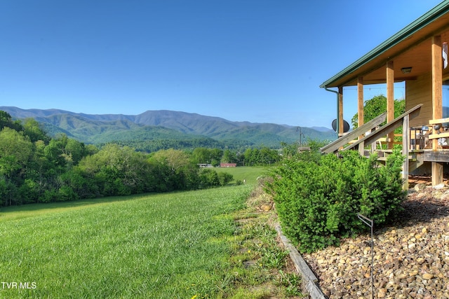 view of mountain feature