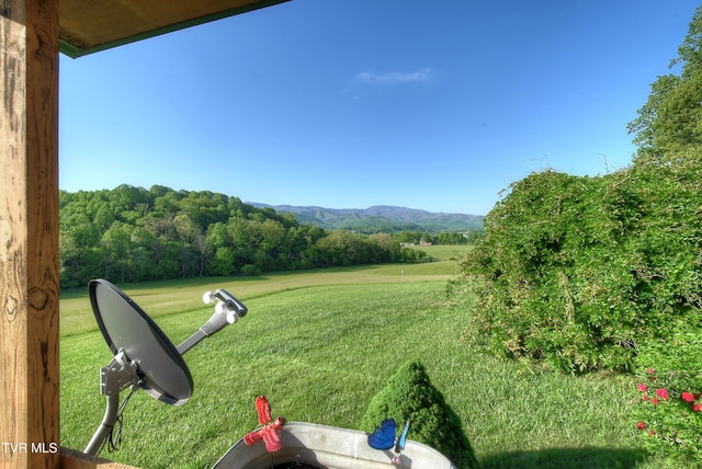 view of yard with a mountain view
