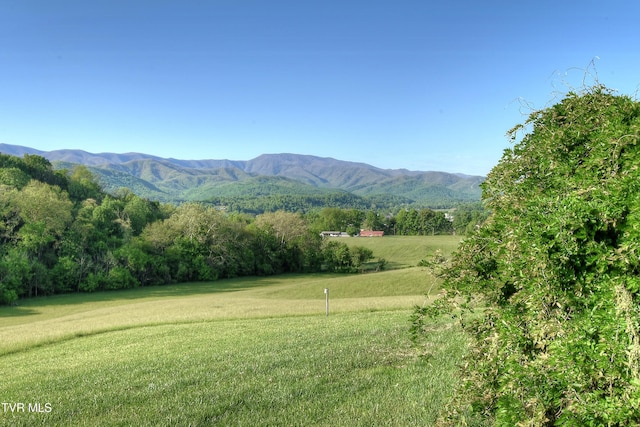 view of mountain feature
