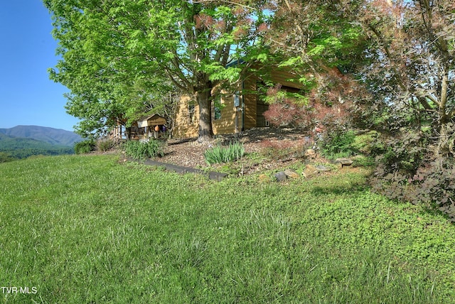 view of yard featuring a mountain view