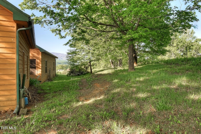 view of yard with a mountain view
