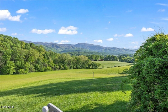 view of mountain feature