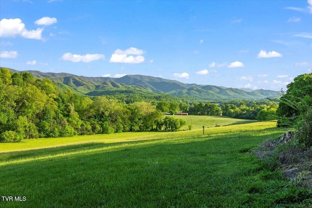 mountain view