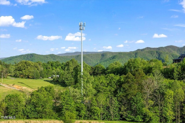 mountain view featuring a forest view