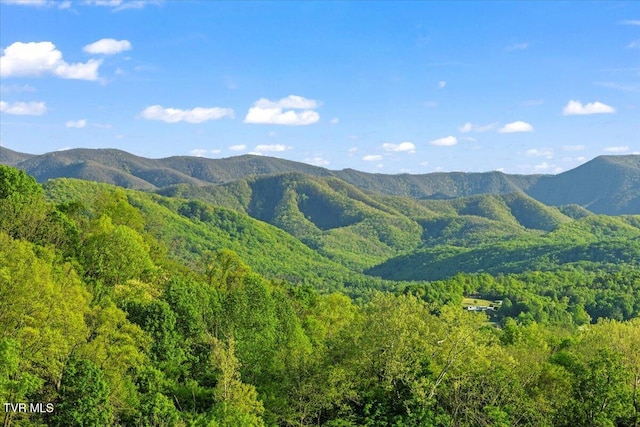 view of mountain feature with a view of trees