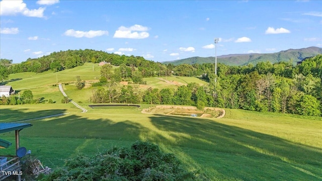 view of home's community with a lawn and a mountain view