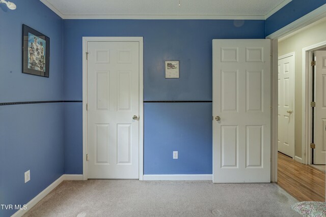 115 Maple Ridge Dr, Jonesborough, TN 37659 - unfurnished bedroom featuring carpet floors, ornamental molding, and baseboards