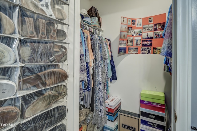115 Maple Ridge Dr, Jonesborough, TN 37659 - view of spacious closet