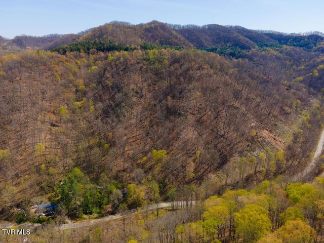 8553 Home Crk Rd, Grundy, VA 24614