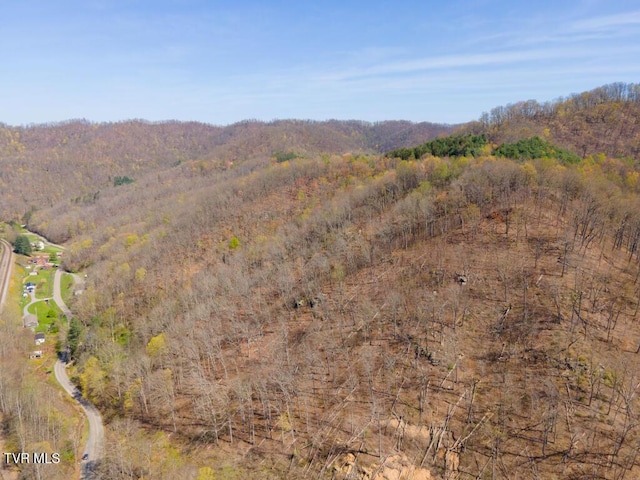 8553 Home Crk Rd, Grundy, VA 24614