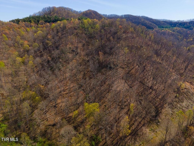 8553 Home Crk Rd, Grundy, VA 24614
