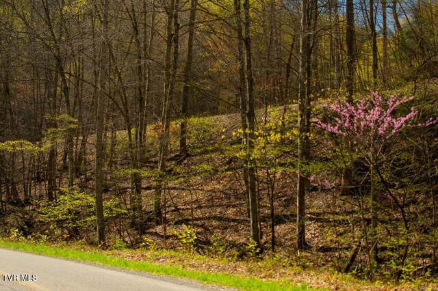 8553 Home Crk Rd, Grundy, VA 24614
