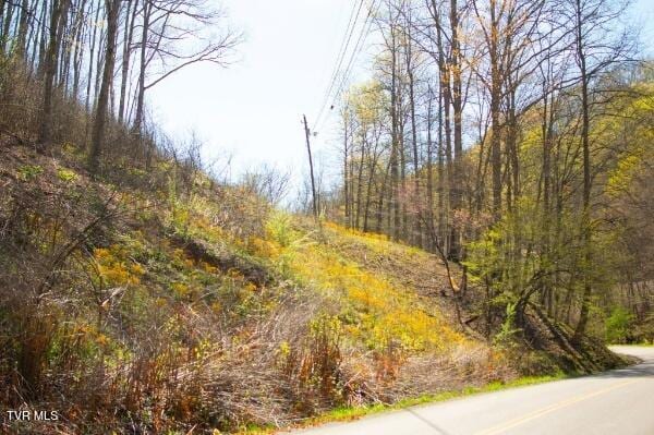 8553 Home Crk Rd, Grundy, VA 24614