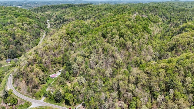 Tbd Green Springs Road, Abingdon, VA 24211
