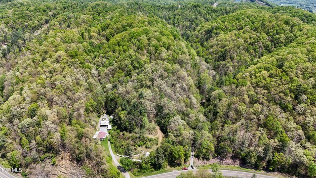 Tbd Green Springs Road, Abingdon, VA 24211