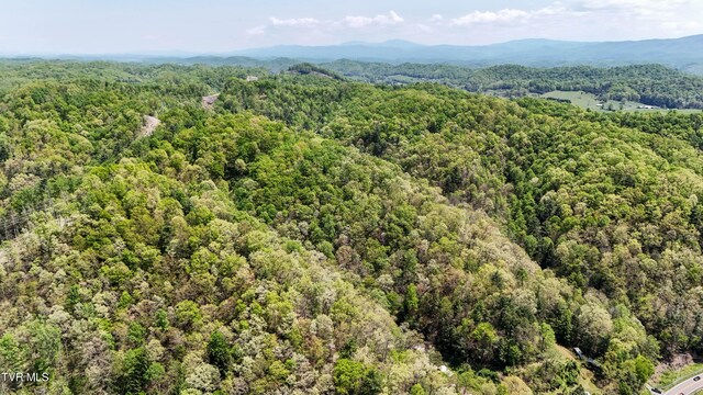 Tbd Green Springs Road, Abingdon, VA 24211
