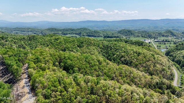 Tbd Green Springs Road, Abingdon, VA 24211