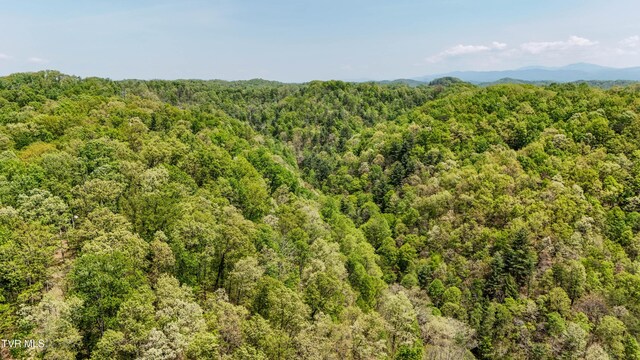 Tbd Green Springs Road, Abingdon, VA 24211