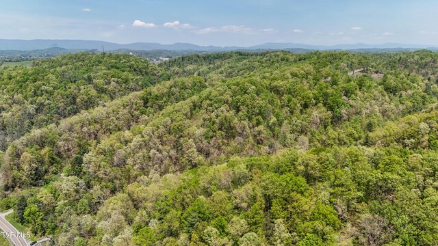 Tbd Green Springs Road, Abingdon, VA 24211