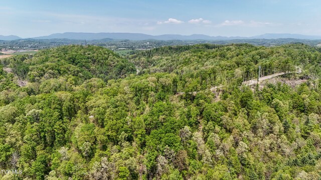 Tbd Green Springs Road, Abingdon, VA 24211