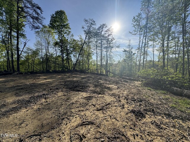 Tbd Green Springs Road, Abingdon, VA 24211