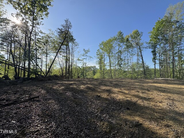 Tbd Green Springs Road, Abingdon, VA 24211