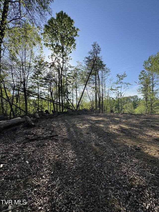 Tbd Green Springs Road, Abingdon, VA 24211