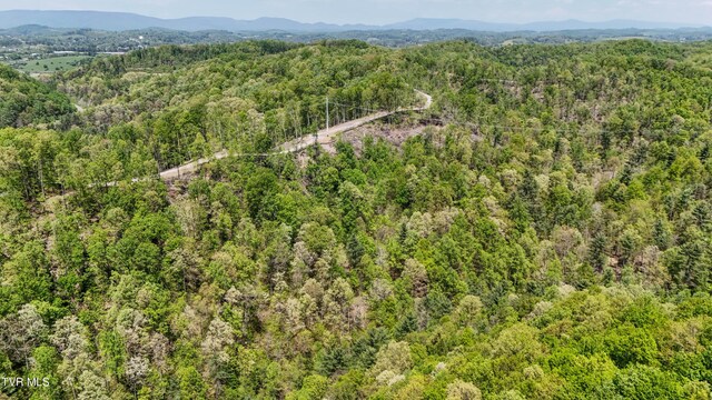 Tbd Green Springs Road, Abingdon, VA 24211