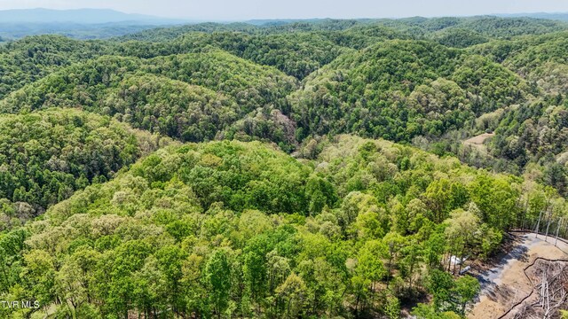 Tbd Green Springs Road, Abingdon, VA 24211