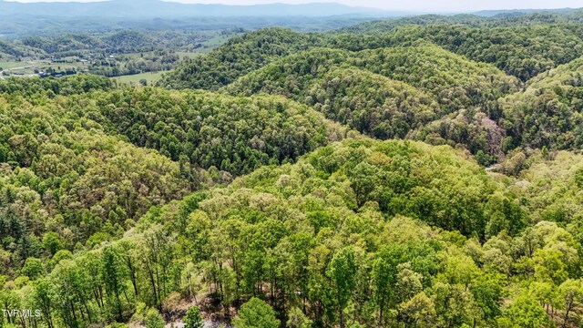 Tbd Green Springs Road, Abingdon, VA 24211