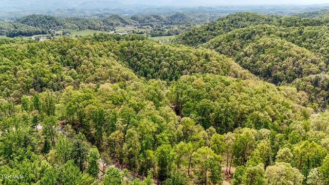 Tbd Green Springs Road, Abingdon, VA 24211