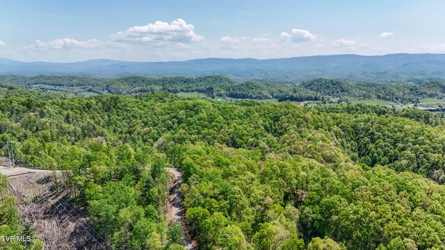 Tbd Green Springs Road, Abingdon, VA 24211