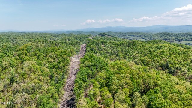 Tbd Green Springs Road, Abingdon, VA 24211