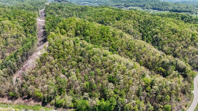 Tbd Green Springs Road, Abingdon, VA 24211