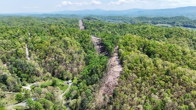 Tbd Green Springs Road, Abingdon, VA 24211