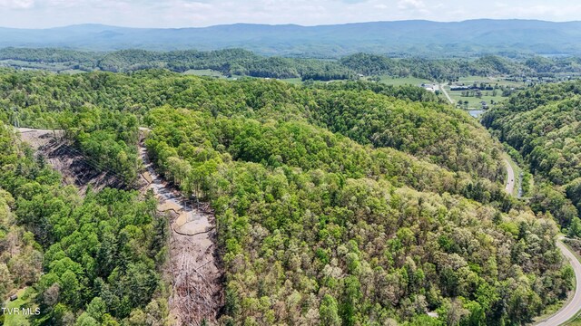 Tbd Green Springs Road, Abingdon, VA 24211