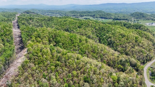 Tbd Green Springs Road, Abingdon, VA 24211