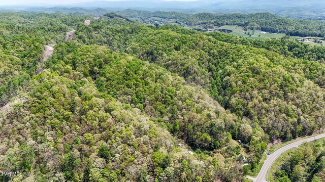 Tbd Green Springs Road, Abingdon, VA 24211
