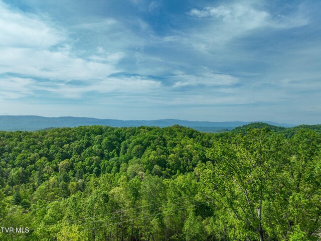 Tbd Green Springs Road, Abingdon, VA 24211