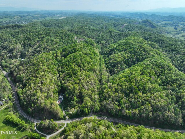 Tbd Green Springs Road, Abingdon, VA 24211
