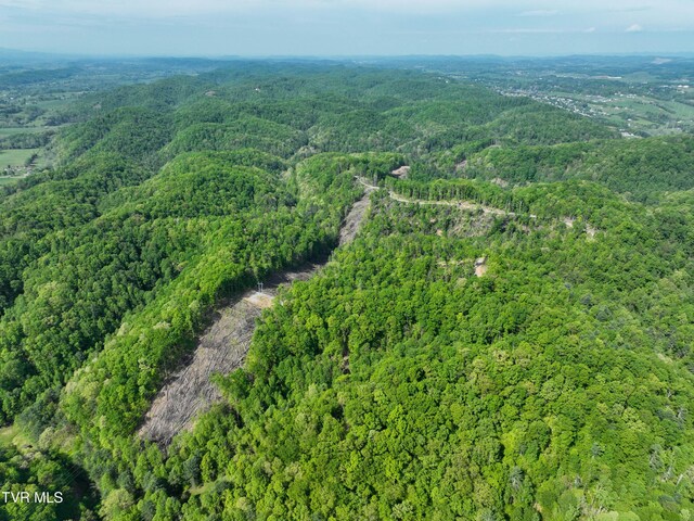 Tbd Green Springs Road, Abingdon, VA 24211