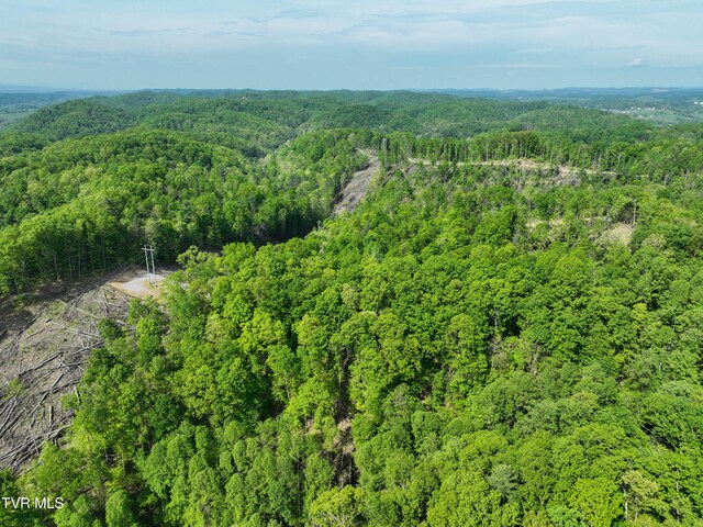 Tbd Green Springs Road, Abingdon, VA 24211
