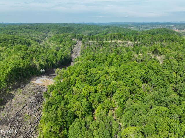 Tbd Green Springs Road, Abingdon, VA 24211