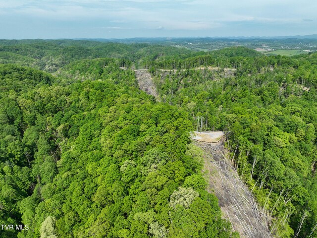 Tbd Green Springs Road, Abingdon, VA 24211
