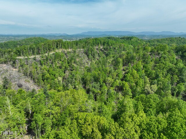 Tbd Green Springs Road, Abingdon, VA 24211
