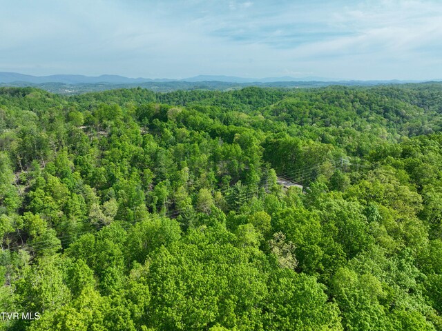Tbd Green Springs Road, Abingdon, VA 24211
