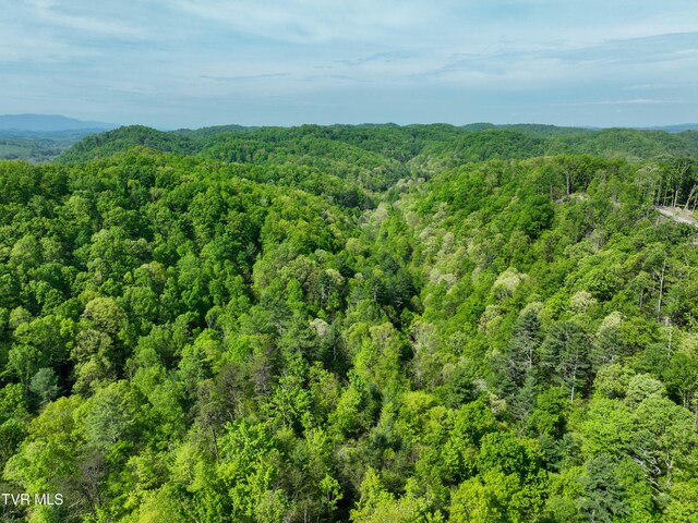 Tbd Green Springs Road, Abingdon, VA 24211