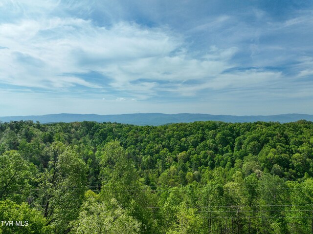 Tbd Green Springs Road, Abingdon, VA 24211