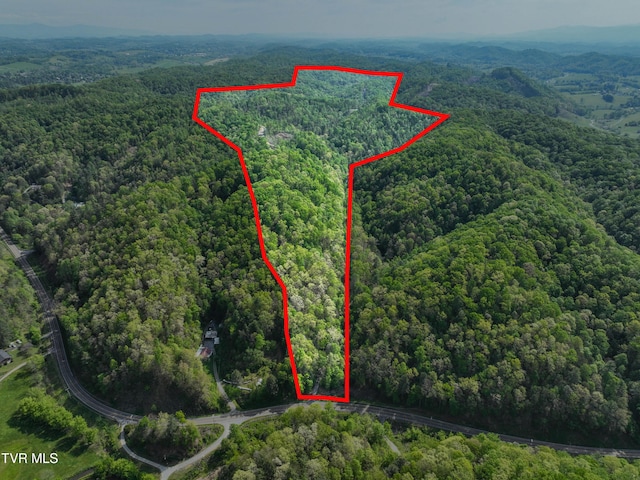 Tbd Green Springs Road, Abingdon, VA 24211 - photo 35
