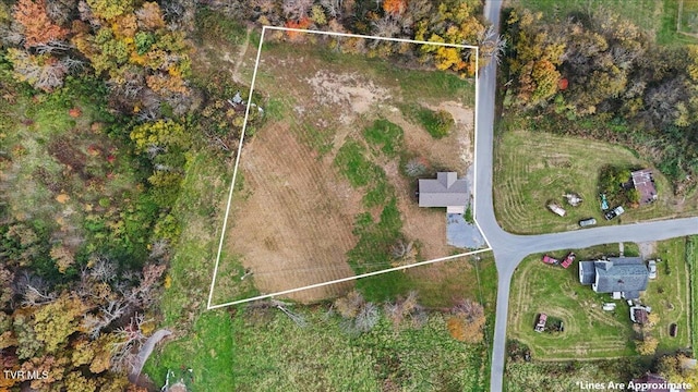 115 Rb Miller Rd, Limestone, TN 37681 - drone / aerial view